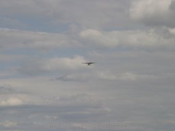 Maiden flight 2013 (208)